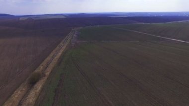 Kolza tohumu alan yol ve 4k peyzaj ile havadan görünümü