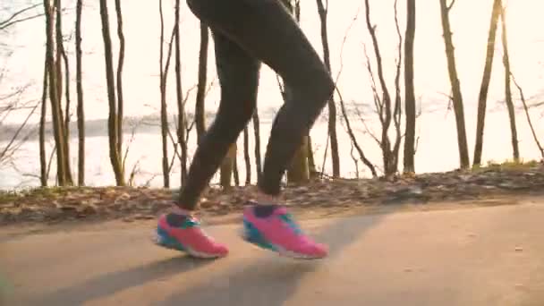 Close up de meninas pernas correndo no parque 4K — Vídeo de Stock