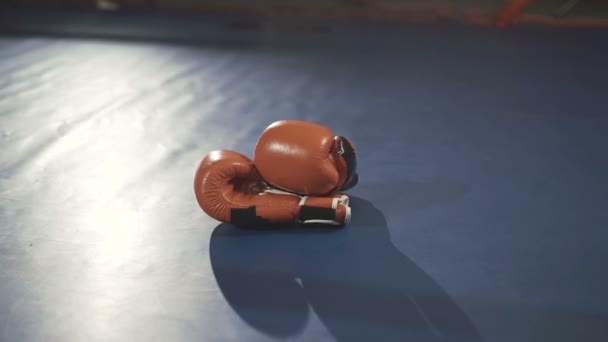 Red boxing gloves lying on the ring — Stock Video