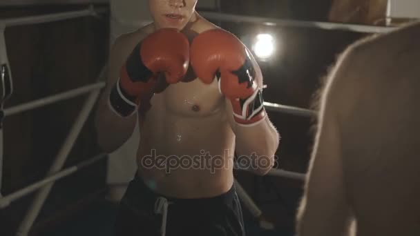 Guapo kickboxer entrenamiento hits con socio en el estudio de boxeo — Vídeos de Stock