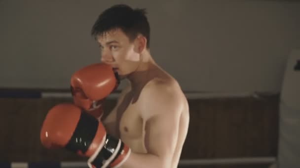 Hezký kickboxer školení hity s partnerem ve studiu boxu — Stock video