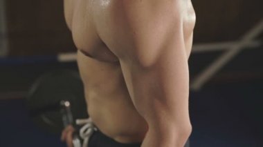 Halter salonunda ile eğitim genç tuzudur yakışıklı boksör. Yavaş yavaş