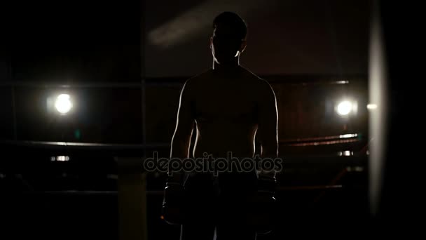 勝者の男性ボクサーはリングの暗闇の中で彼の腕を持ち上げます。ゆっくりと — ストック動画