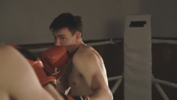 Красавчик-кикбоксер тренируется с партнером в боксерской студии. Медленно. — стоковое видео