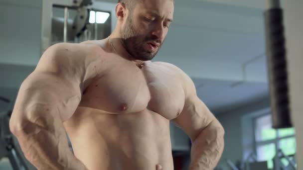 Gros plan des triceps de musculation forts et beaux dans la salle de gym — Video