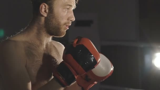 Boxer kop v tváři se pocení fleky v temnotě. Pomalu — Stock video