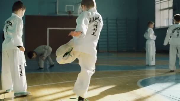 Taekwondo opleiding van jonge jongens in de sportschool in 4k — Stockvideo