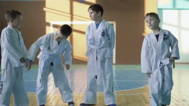 Niños masculinos divertidos entrenando un taekwondo en el gimnasio en 4K — Vídeo de stock