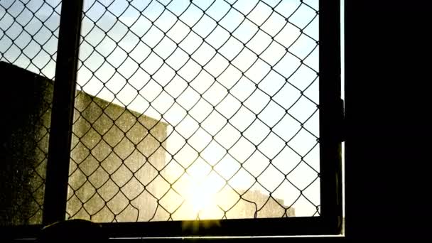 Sierot w slumsach, patrząc na słońce przez kraty ogrodzenia 4k — Wideo stockowe
