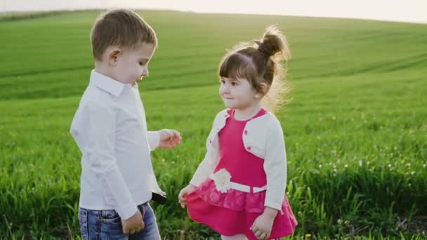 Little couple in love embracing each other on the spring wheat field on sunset — Stock Video