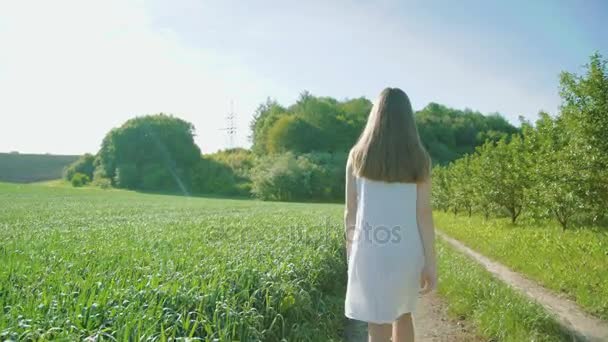 Chica bonita caminando en el camino entre los campos de trigo en el fondo hermoso temprano — Vídeo de stock