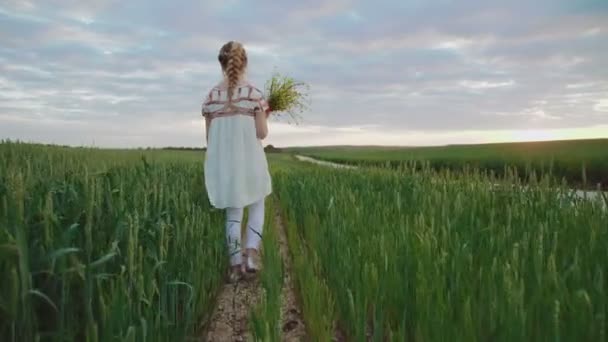 Junges nettes Mädchen im Stickkleid spaziert im Weizen mit Blumenstrauß — Stockvideo