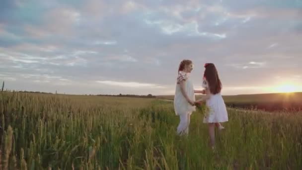 Two young girls in embroidery dress jumping in circle in the wheat and rejoicing — Stock Video