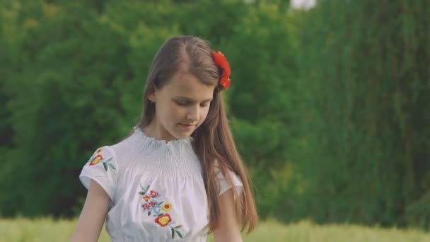 Весела молода дівчина у вишивці позує на камеру в пшеничному полі — стокове відео
