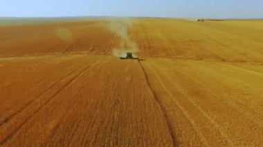 4 k modern birleştirmek ile buğday hasat havadan görünümü