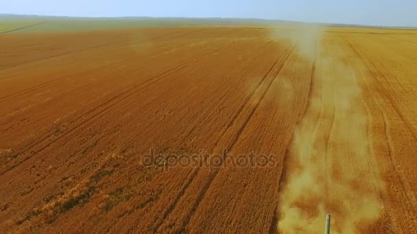 Vue aérienne de la récolte du blé avec combinaison moderne en 4K — Video