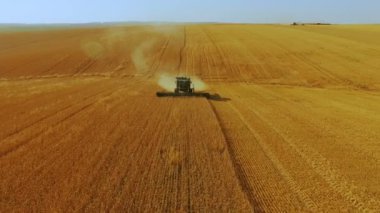 4 k modern birleştirmek ile buğday hasat havadan görünümü