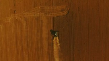 Altın toplama olgun buğday havadan görünümü büyük alanda 4k