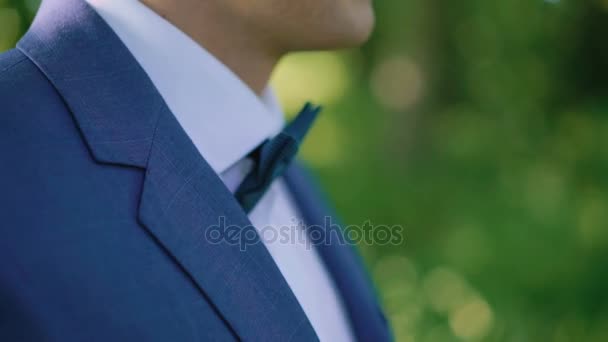 Manliga händer rätt närbild bröllop bowtie, 4k — Stockvideo