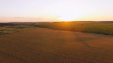 Pitoresk buğday alanları günbatımı hava görünümünü. 4k