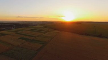 Pitoresk buğday alanları günbatımı hava görünümünü. 4k