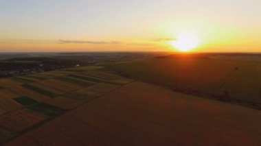 Pitoresk buğday alanları günbatımı hava görünümünü. 4k