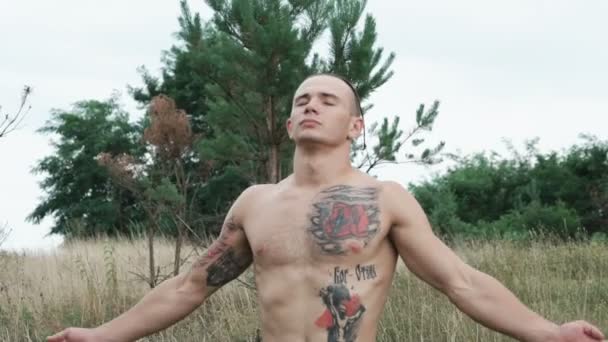3,355 Hairless Stock Videos, 4K & HD Footage