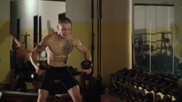 Sin pelo con tatuajes luchador libre levanta las mancuernas en el espejo. 4K — Vídeos de Stock