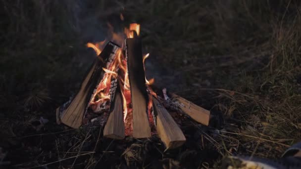 Közelkép a lángoló tábortűz. 4k — Stock videók