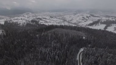 Yolda araba sürmek ile kış orman. Havadan panoramik görünümü. 4k