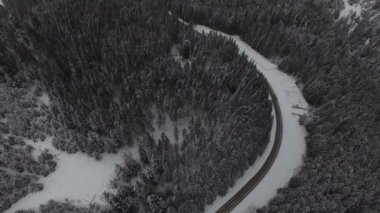Karlı ormanlarda kış yolu üzerinde araba sürüyor, İHA 'dan hava manzarası var.