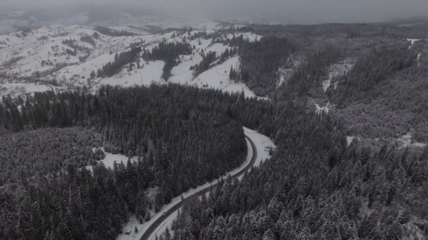 Samochodem na zimowe drogi w lesie snowy, widok z lotu ptaka z dronów. 4k — Wideo stockowe