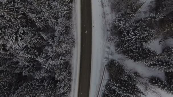 雪の森の冬の田舎道を運転する車、ドローンからの空中ビュー — ストック動画