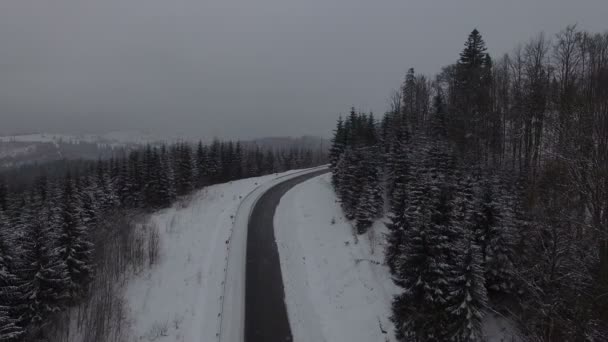 Imágenes aéreas del bosque navideño de coníferas nevadas de invierno. 4k — Vídeo de stock