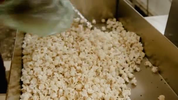 Свежий жареный попкорн положить на порции на заводе 4K — стоковое видео