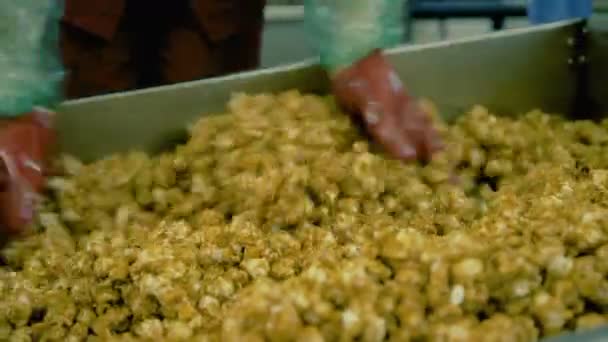 Omrörning popcorn under tillagningen på fabriken — Stockvideo