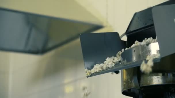 Proceso de cocción de palomitas de maíz en el transportador en la fábrica 4K — Vídeos de Stock