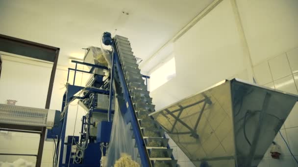 4 k 工場のコンベアでポップコーンを調理のプロセス — ストック動画