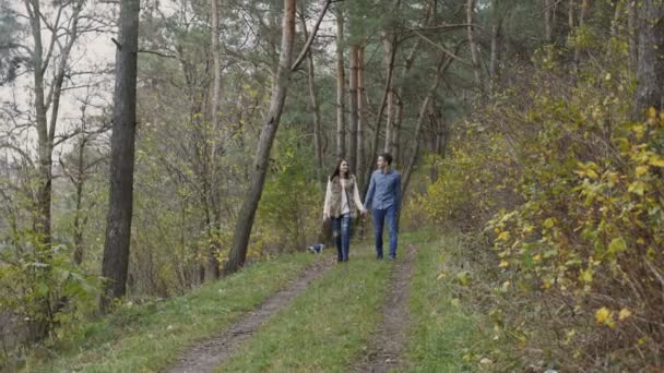 Jovem casal feliz andando na bela floresta de outono. 4K — Vídeo de Stock