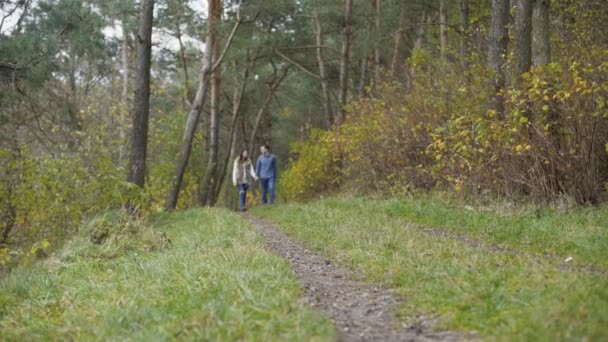 Прекрасная пара прогулки и повороты в лесу, когда маленькая собака бежит — стоковое видео