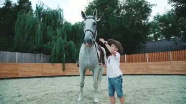 Genç çocuk dostu beyaz atıyla alan okşama. 4k