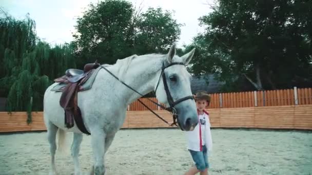 Мальчик ласкает свою дружелюбную белую лошадь. 4K — стоковое видео