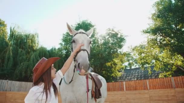 Šťastná dívka s úsměvem a hladí na bílém koni na oblasti. 4k — Stock video