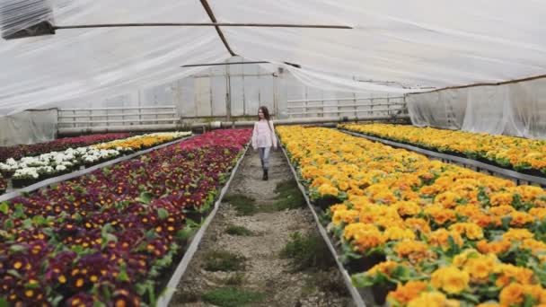 Ganska ung flicka går i växthus och berör blomkrukor — Stockvideo