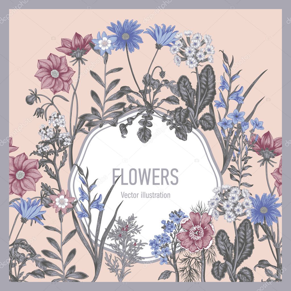 Download Summer flowers. Wildflowers. Vector Vintage postcard ...