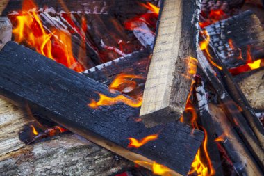 Kaya ateşi sonbaharda yakacak odun yakıyor.