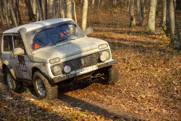 Wild Keréken Orosz Autó Suv Őszi Erdőben Versenyeken — Stock Fotó