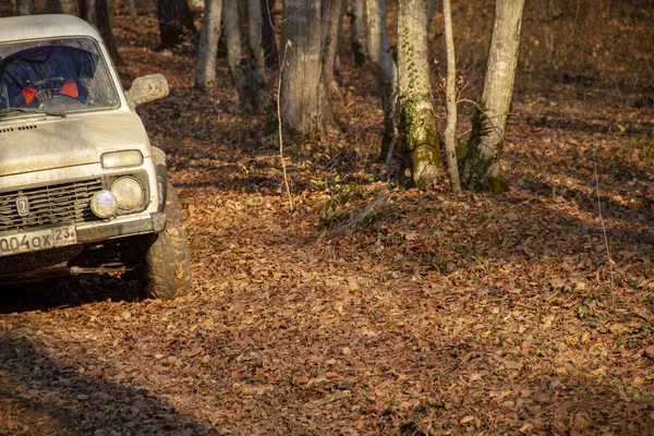 Wild Keréken Orosz Autó Suv Őszi Erdőben Versenyeken — Stock Fotó
