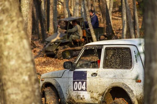 Дикий Колесах Російський Автомобіль Сув Осінньому Лісі Гонках — стокове фото