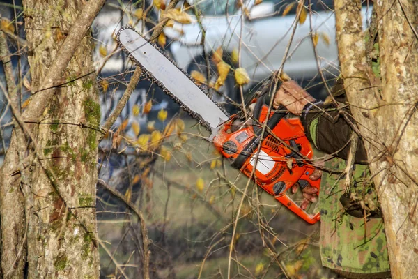 Leñador Mono Protector Pie Con Una Motosierra Bosque — Foto de Stock